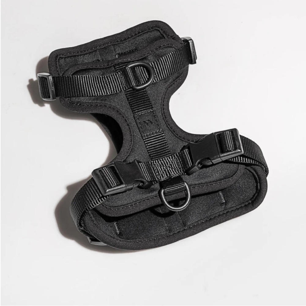Wild One Dog Harnesses Small Black